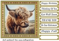 Tartan framed Highland cow card front 5