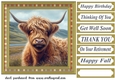 Tartan framed Highland cow card front 6
