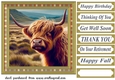 Tartan framed Highland cow card front 7