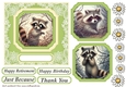 Raccoon card front 2