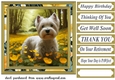 Westie in buttercup field card front 2