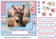 Pink and blue painted donkey card front 6
