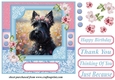Painted Scottish terrier card front 4