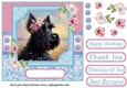 Painted Scottish terrier card front 5