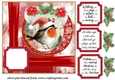 Red Christmas robin card front 2