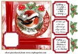 Red Christmas robin card front 3