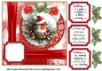 Red Christmas robin card front 5