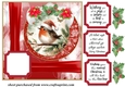 Red Christmas robin card front 6