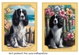 2 Beach black and white Springer spaniel card fronts 2
