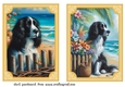 2 Beach black and white Springer spaniel card fronts 3