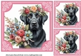 3 Black Labrador say it with flowers card front/toppers 4