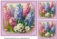 3 Hyacinth card fronts/toppers 2