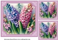 3 Hyacinth card fronts/toppers 4