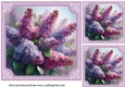3 Framed Lilacs card fronts/toppers 2
