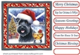 Christmas Scottish terrier with whisky card front 1
