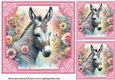 3 Floral donkey card front/toppers 5