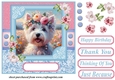 Painted floral Westie card front 3