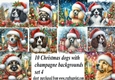 10 Christmas champagne dog backgrounds 4 (png)