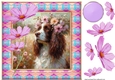 Painted Springer spaniel card front 2