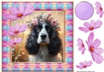 Painted Springer spaniel card front 4