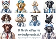 10 The dr will see you now png backgrounds kit 3