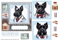 Scottie doctor get well soon card front