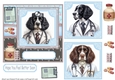 Springer Spaniel doctor get well soon card front