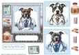 Staffie doctor get well soon card front