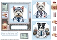 Westie and Border Collie doctor get well soon card front