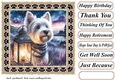 Paw framed twilight dog card front 4