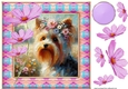 Painted Yorkie card front 3