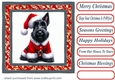 Santa Scottie card front 8