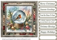 Christmas robin snow globe card front 8