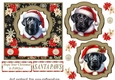 Black Labrador Santa card front