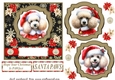 Poodle Santa card front