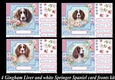 4 Floral gingham Liver and white Springer Spaniel card fronts kit