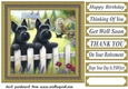 Scotties at the fence card front 4