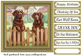 Chocolate Labradors by the fence card front 2