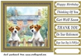 Jack Russell by the fence card front 3