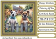 Staffy by the fence card front 1