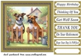 Staffy by the fence card front 2