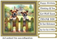 Staffy by the fence card front 3