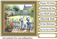Westie by the fence card front 2