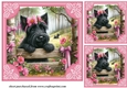 3 Pink floral Scottie card front/toppers 5