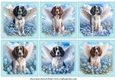 6 Forget me not Springer Spaniel toppers