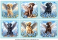 6 Forget me not Labrador toppers