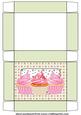 Green and Pink Cupcake Themed Gift Box