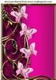 Pink Floral Butterfly Topper