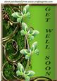 Green Floral Butterfly Get Well Soon Topper