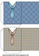 Brown and Blue Check Shirt and Tie Pockets 2